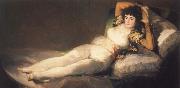 Francisco de goya y Lucientes The Clothed Maja china oil painting reproduction